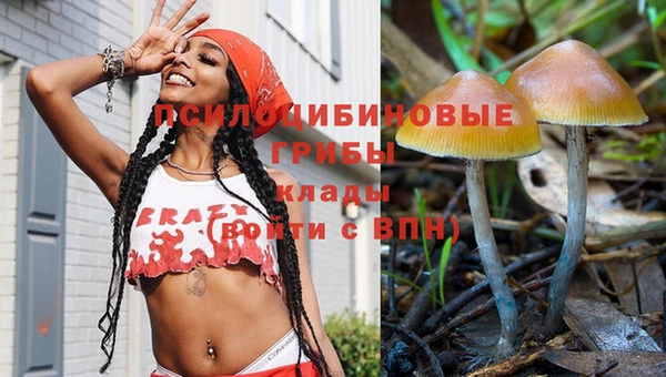 ПСИЛОЦИБИНОВЫЕ ГРИБЫ Ладушкин