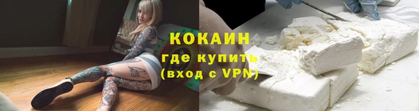 ПСИЛОЦИБИНОВЫЕ ГРИБЫ Ладушкин