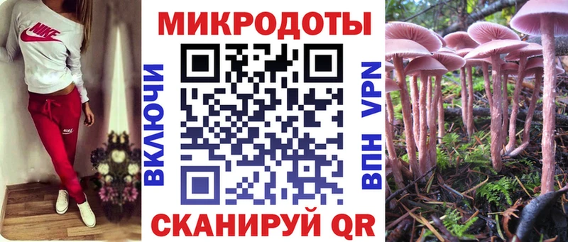 купить наркоту  Тимашёвск  Галлюциногенные грибы Psilocybine cubensis 